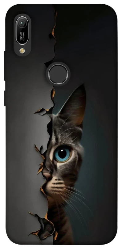 Чехол на Huawei Y6 (2019) Кот-подглядыватель v2 фото 1 из 1