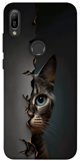 Чехол на Huawei Y6 (2019) Кот-подглядыватель v2 фото 1 из 1
