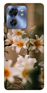 Чехол на Motorola Edge 40 Лилии фото 1 из 1