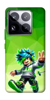 Чехол на Xiaomi 15 Pro Roblox aesthetics ver.2 фото 1 из 1