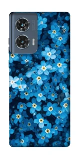 Чохол на Motorola Edge 50 Flowers v6 фото 1 з 1