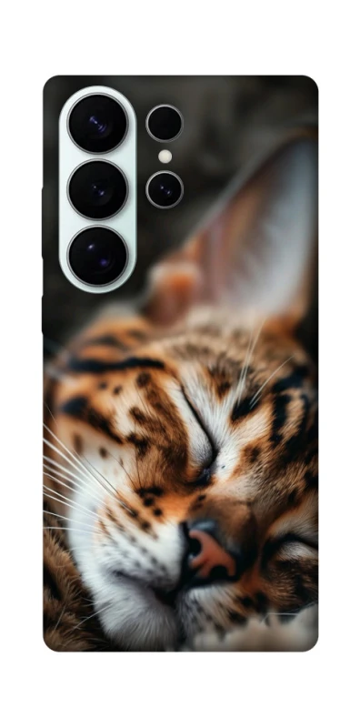 Чохол на Samsung Galaxy S26 Cat paws фото 1 з 1
