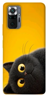 Чохол на Xiaomi Redmi Note 10 Pro This is Cat фото 1 з 1