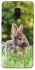Чехол на Samsung A530 Galaxy A8 (2018) Кролики фото 1 из 1