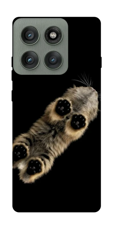 Чехол на Motorola Edge 60 Pro Cat фото 1 из 1