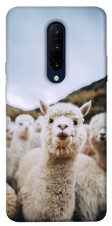Чохол на OnePlus 7 Pro Лама фото 1 з 1