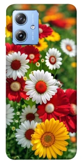 Чехол на Motorola Moto G84 Flowers v11 фото 1 из 1