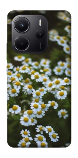 Чехол на Xiaomi Redmi Note 14 4G (Europe version) Ромашки v13 фото 1 из 1