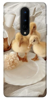 Чохол на OnePlus 8 Easter Vibes фото 1 з 1