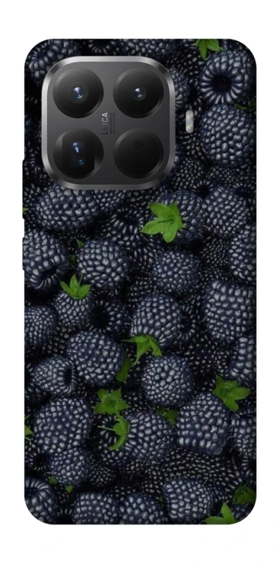 Чохол на Xiaomi 15T Pro Fresh фото 1 з 1