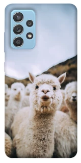Чохол на Samsung Galaxy A52 4G / A52 5G Лама фото 1 з 1