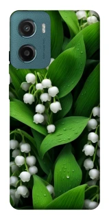 Чохол на Motorola Moto G06 Flowers v24 фото 1 з 1