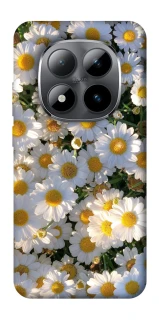 Чохол на Xiaomi Redmi Note 15 Pro 5G Поле ромашок фото 1 Чохол на Xiaomi Redmi Note 15 Pro 5G Поле ромашок фото 1 з 1