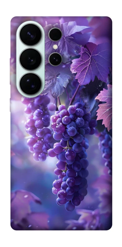 Чохол на Samsung Galaxy S26 Ultra Bunch of grapes фото 1 з 1