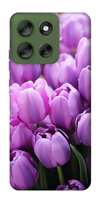 Чехол на Motorola Moto G56 5G Фиолетовые тюльпаны фото 1 из 1