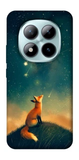 Чехол на Xiaomi Redmi Note 15 Pro+ 5G Sky fox фото 1 из 1
