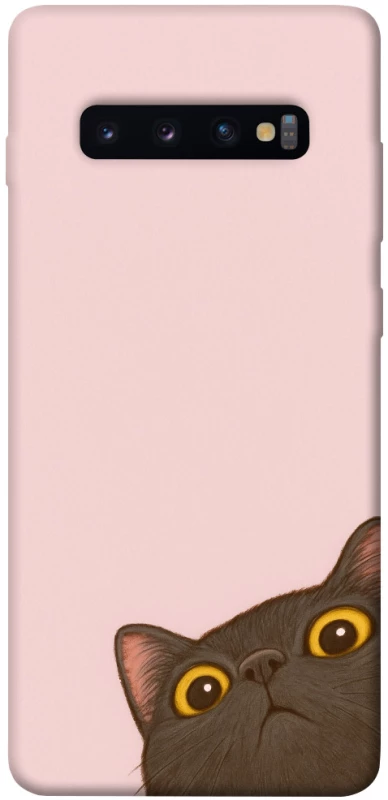 Чохол на Samsung Galaxy S10+ Peeping cat фото 1 з 1
