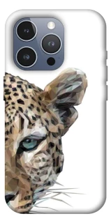 Чохол на Apple iPhone 16 Pro Max Leopard Art v2 фото 1 з 1