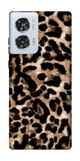 Чохол на Motorola Edge 50 Fusion Leopard Skin v4 фото 1 з 1