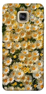 Чохол на Samsung A520 Galaxy A5 (2017) Camomile фото 1 з 1