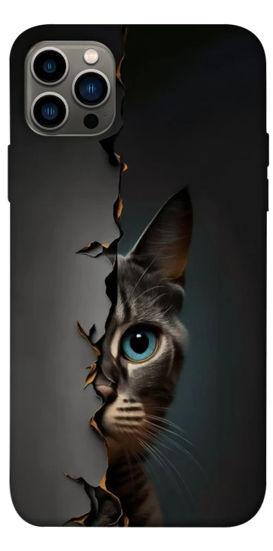 Чехол на Apple iPhone 12 Pro (6.1") Кот-подглядыватель v2 фото 1 из 1