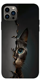 Чехол на Apple iPhone 12 Pro (6.1") Кот-подглядыватель v2 фото 1 из 1