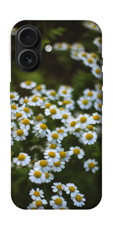 Чехол на Apple iPhone 16 Ромашки v13 фото 1 из 1
