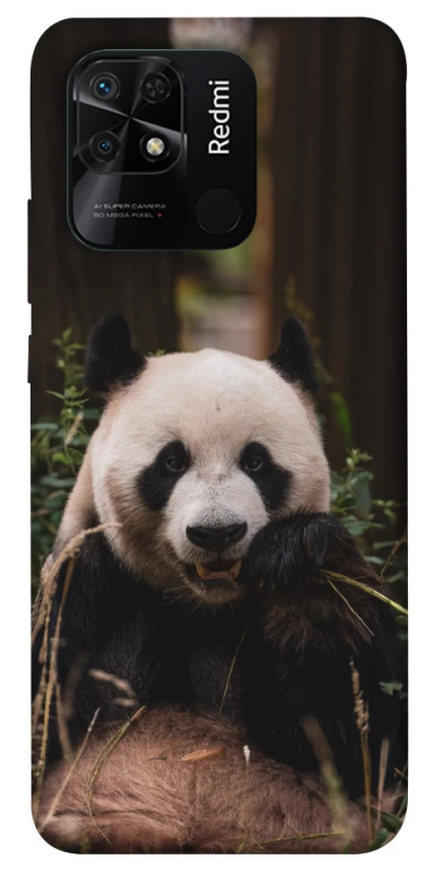Чехол на Xiaomi Redmi 10C Панда фото 1 из 1