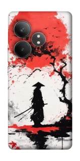 Чехол на Realme GT Neo 6 Дух Японии фото 1 из 1