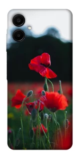 Чехол на Samsung Galaxy A06 Мак фото 1 из 1