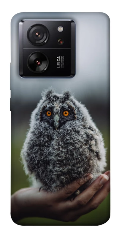 Чохол на Xiaomi 13T Совеня фото 1 з 1