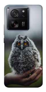 Чохол на Xiaomi 13T Совеня фото 1 з 1