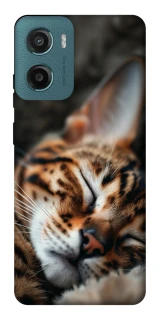 Чехол на Motorola Moto G06 Cat paws фото 1 из 1