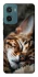 Чохол на Motorola Moto G06 Cat paws фото 1 з 1