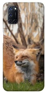 Чехол на Oppo A52 / A72 / A92 Лиса фото 1 из 1