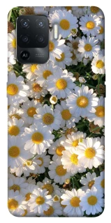 Чохол на Oppo Reno 5 Lite Поле ромашок фото 1 з 1