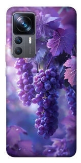 Чехол на Xiaomi 12T / 12T Pro Bunch of grapes фото 1 из 1