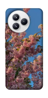 Чехол на Xiaomi Civi 5 Pro Flowers v4 фото 1 из 1