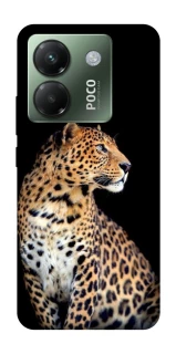 Чохол на Xiaomi Poco M7 pro 5G Leopard v2 фото 1 з 1