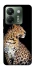 Чохол на Xiaomi Poco M7 pro 5G Leopard v2 фото 1 з 1