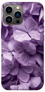 Чехол на Apple iPhone 13 Pro Max (6.7") Floral Symphony фото 1 из 1
