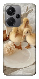 Чохол на Xiaomi Redmi Note 13 Pro+ Easter Vibes фото 1 з 1