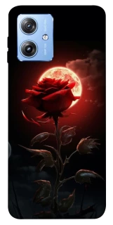 Чехол на Motorola Moto G84 Красная роза фото 1 из 1