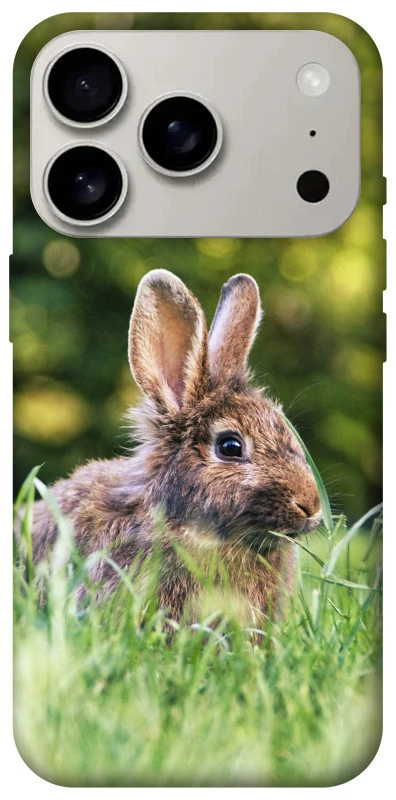 Чехол на Apple iPhone 17 Pro (6.3") Кролики фото 1 из 1