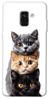 Чохол на Samsung A530 Galaxy A8 (2018) Гарні котики фото 1 з 1