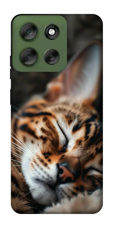 Чохол на Motorola Moto G56 5G Cat paws фото 1 з 1