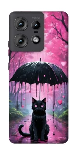 Чохол на Motorola Edge 50 Pro Black cat фото 1 з 1
