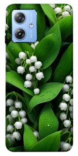 Чехол на Motorola Moto G84 Flowers v24 фото 1 из 1