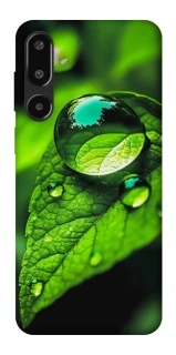 Чохол на Samsung Galaxy F16 Flowers v16 фото 1 з 1