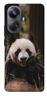 Чехол на Realme 10 Pro+ Панда фото 1 из 1